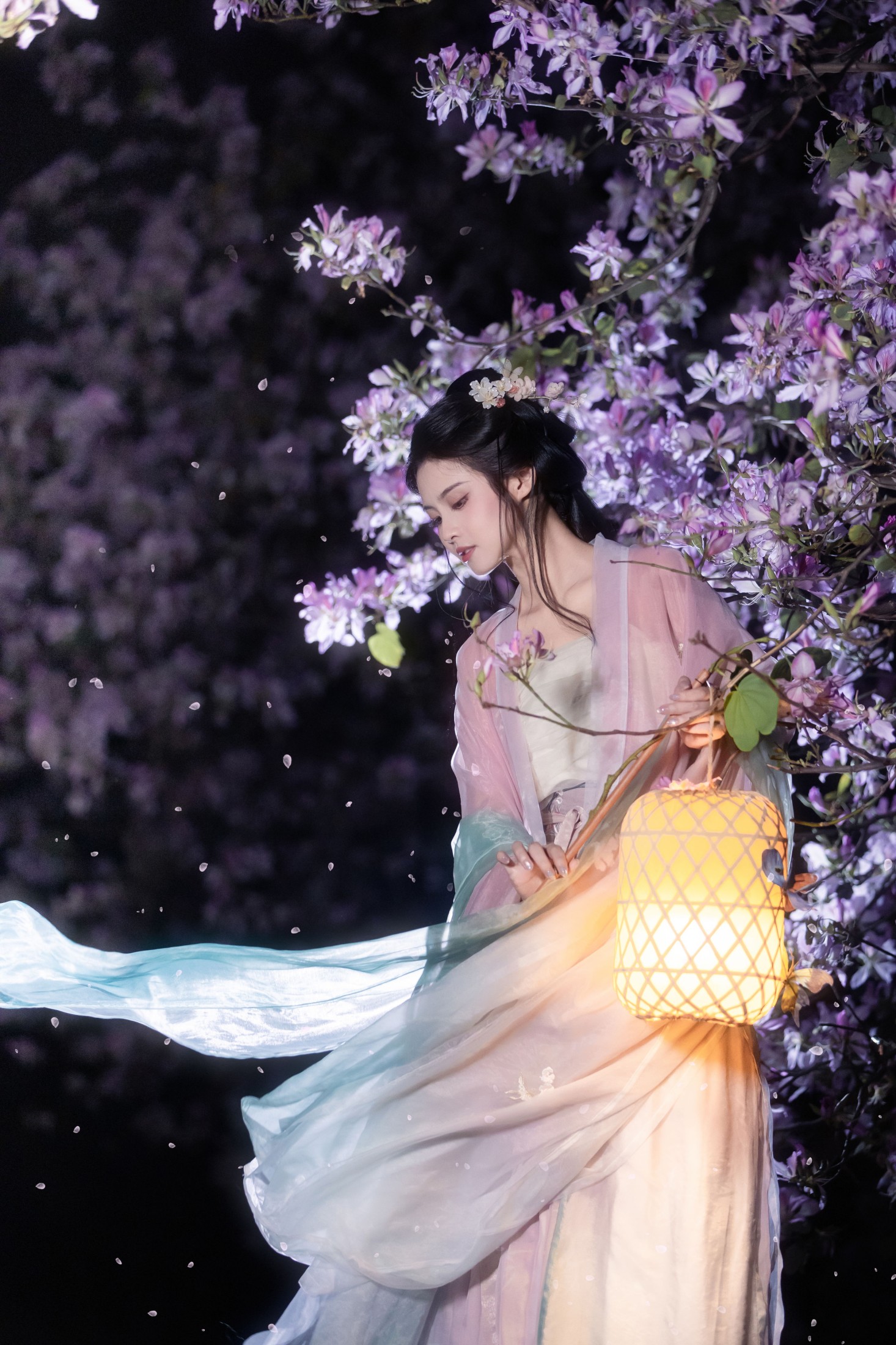 三也酱酱 – 《挽星灯》[21P] 插图1