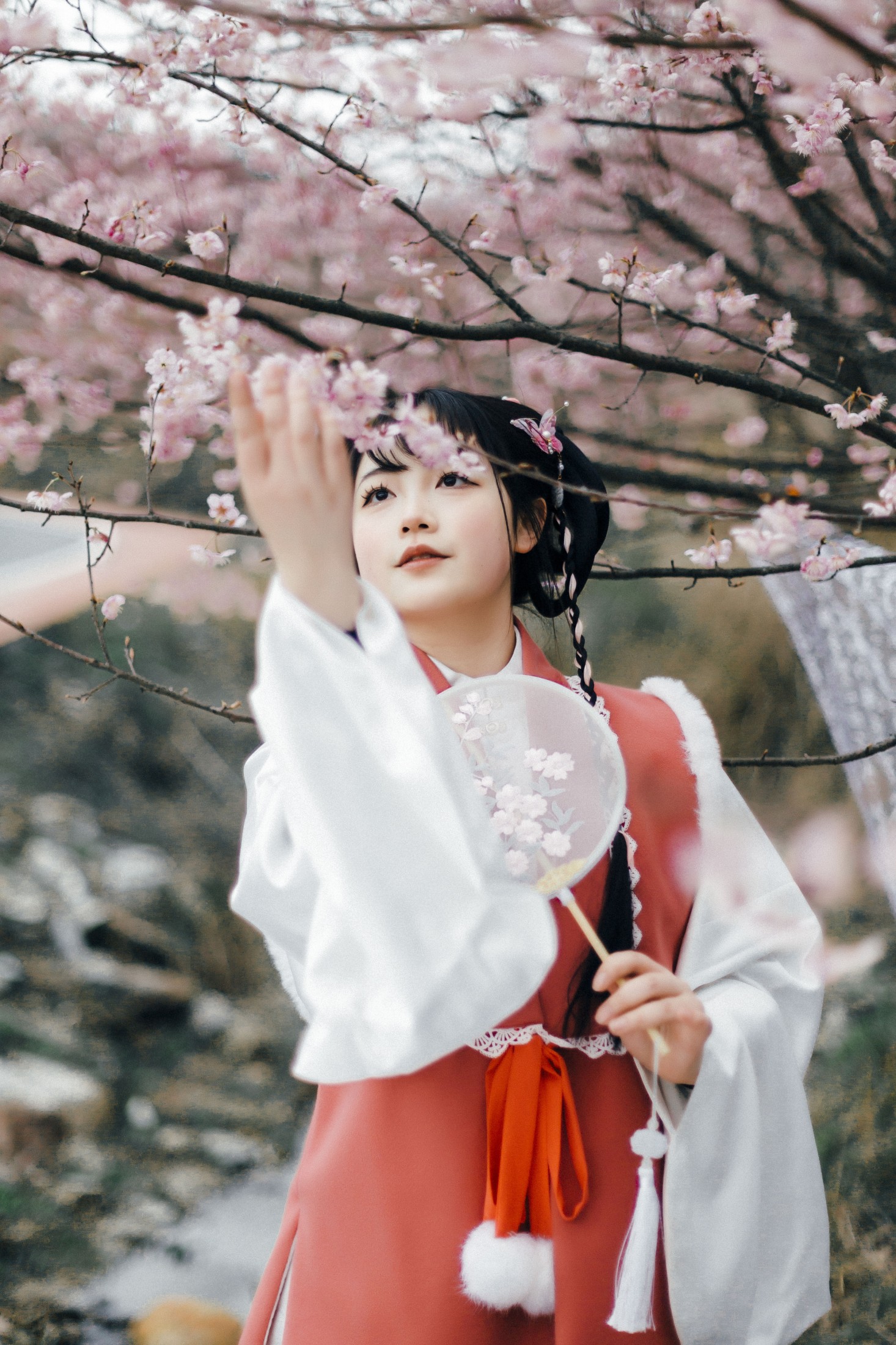 -张张要开张- – 《赏春》[18P] 插图1