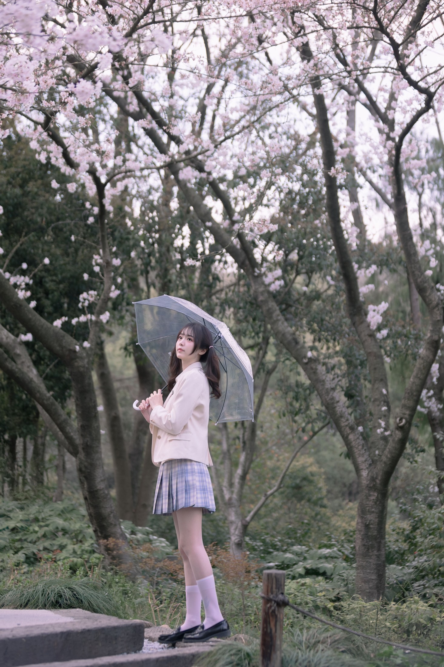 刺青师豆芽 – 《樱花树下的少女》[24P] 插图1