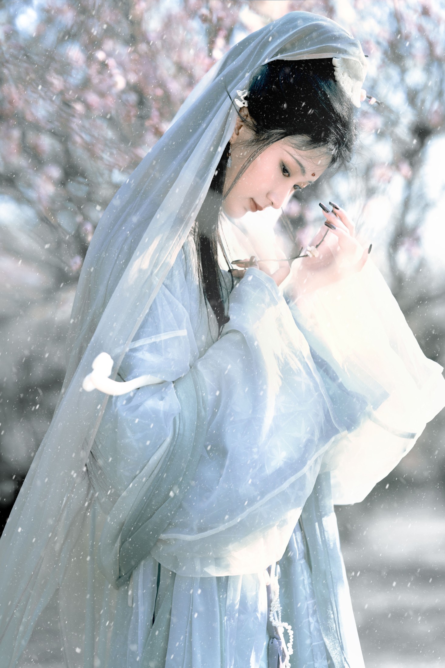 荷里寒 – 《琉璃世界，白雪红梅》[14P] 插图1