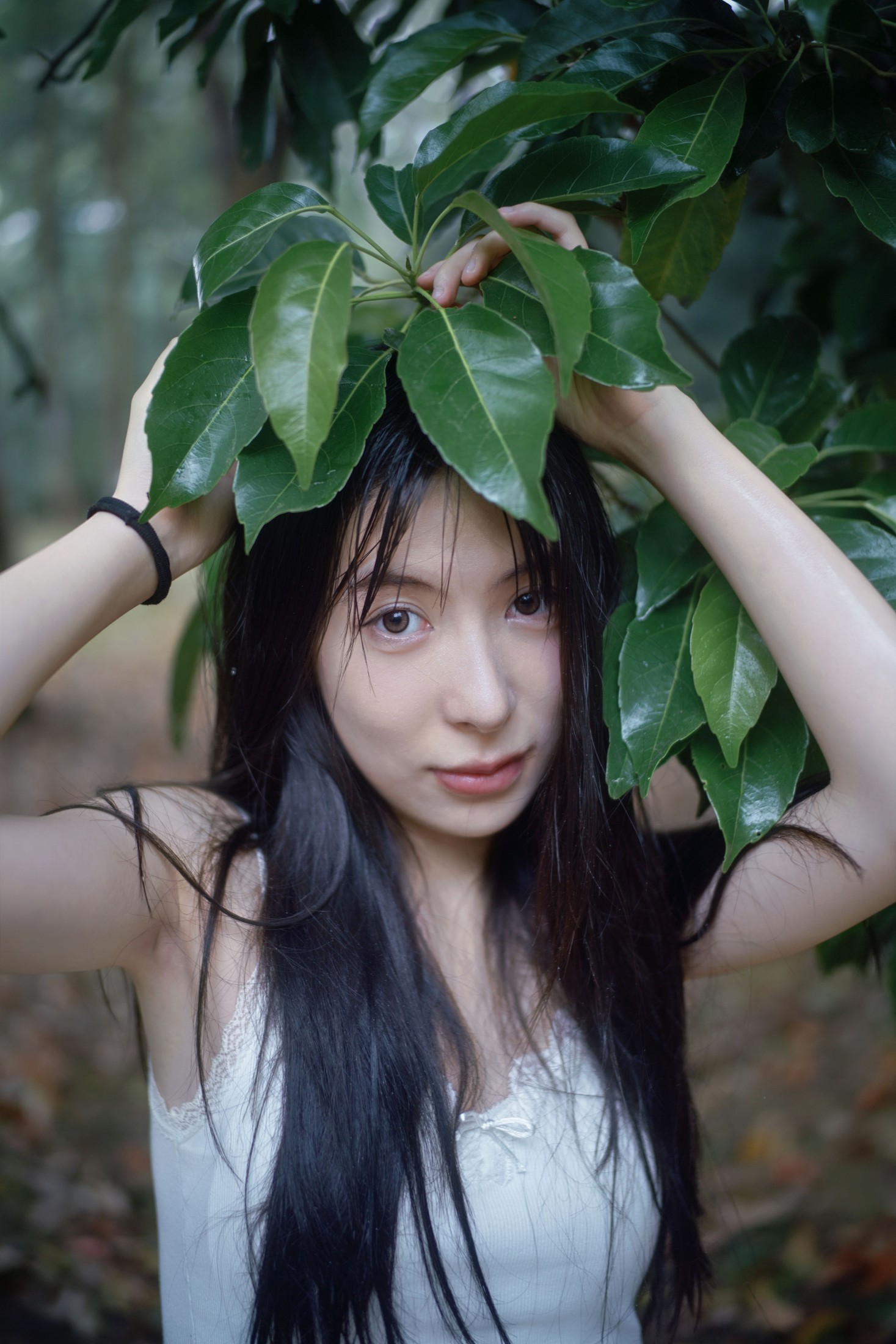 0831 – 《雨林微雨・少女的湿漉漉童话》[36P] 插图1