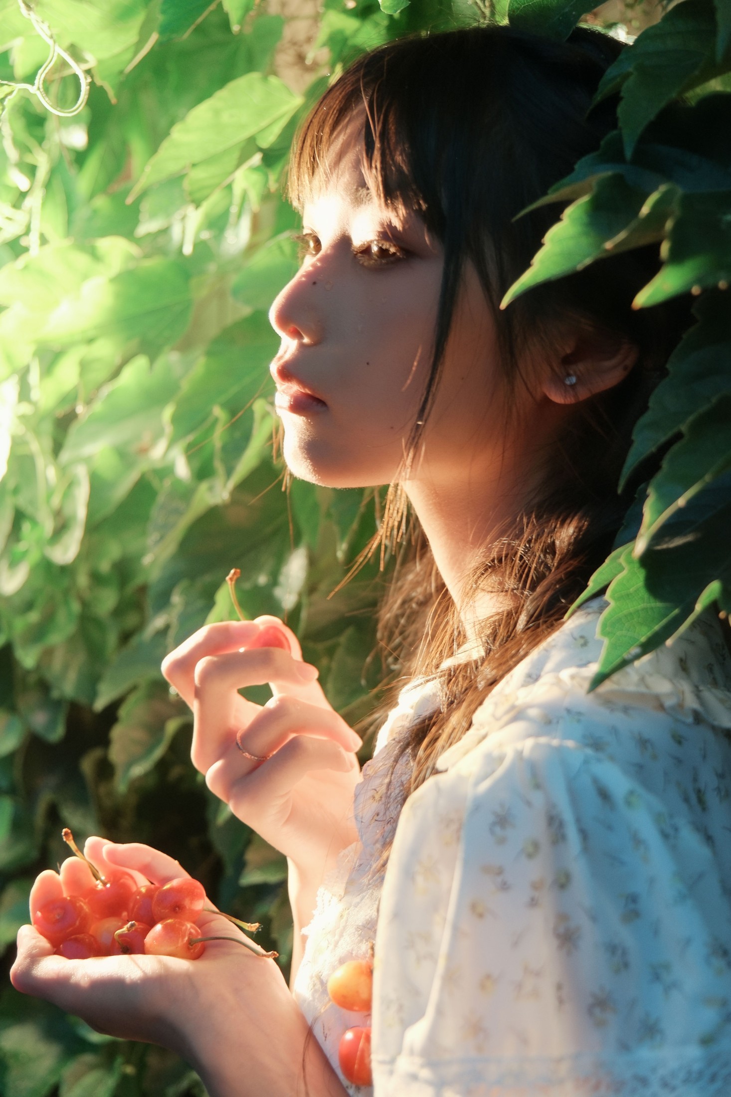 西一奥 – 《Poor Cherries》[28P] 插图1