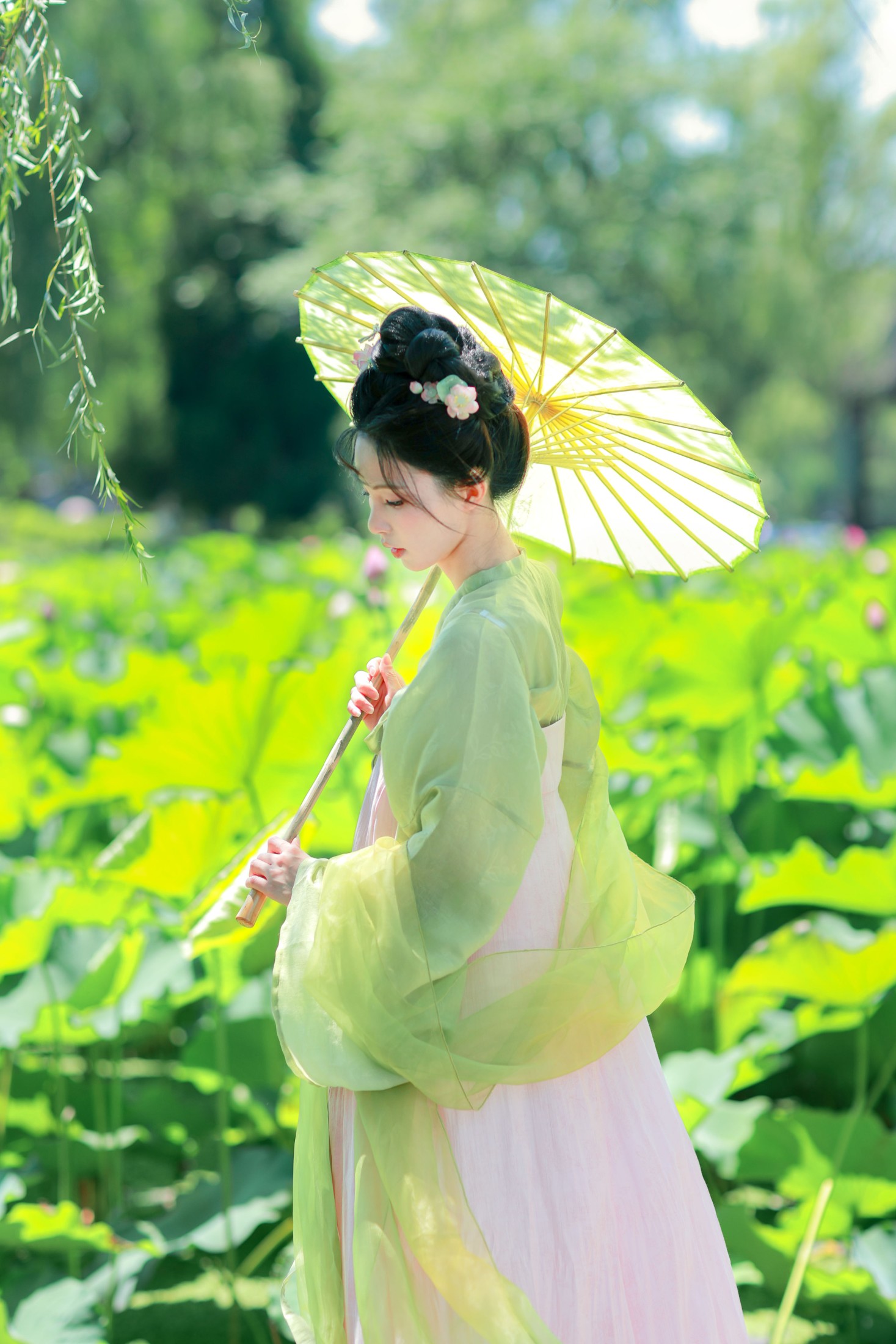 二氧化棠 – 《绿荫浓，夏日长》[13P] 插图1