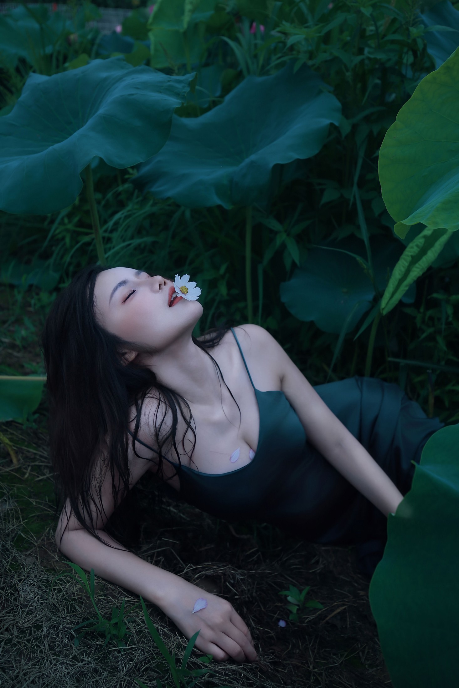 泽书 – 《碧罗栽夏》[18P] 插图1