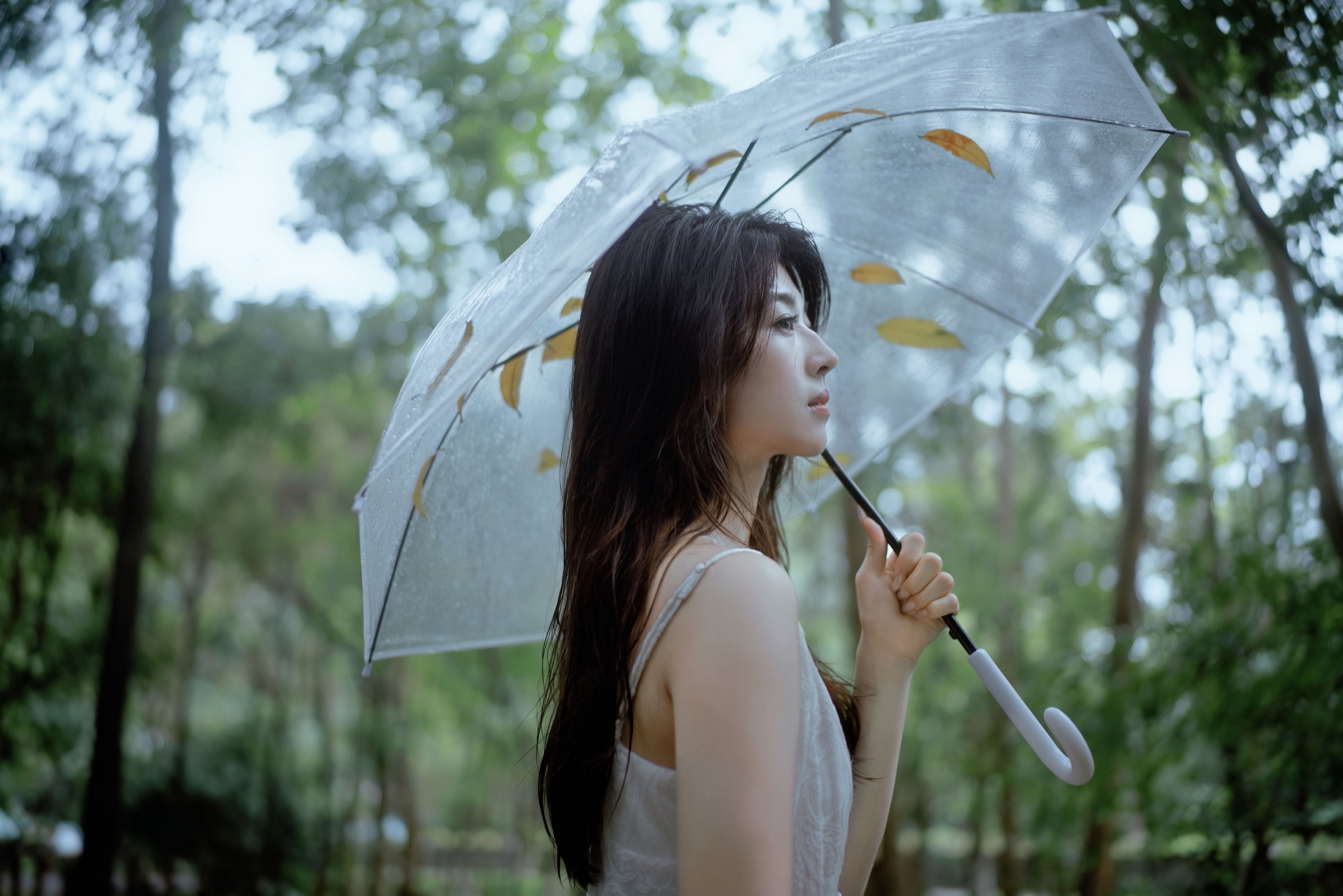 小鹿 – 《雨落林间，邂逅白裙仙子》[20P] 插图1