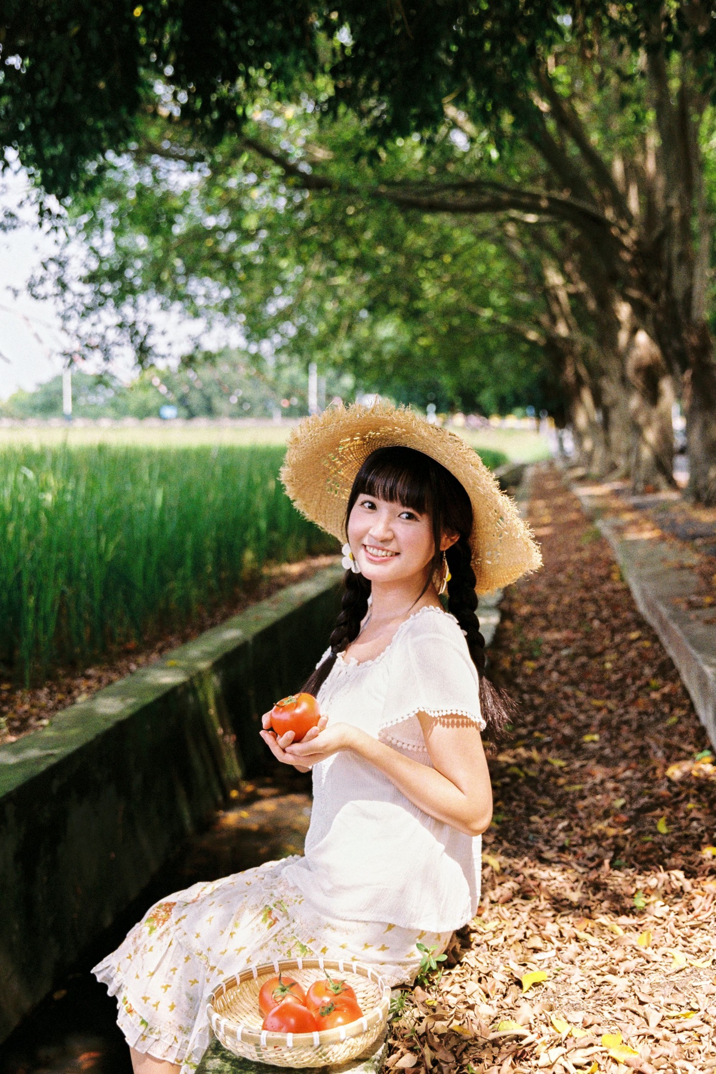 奇妙莉莉子 – 《我喜欢的盛夏》[16P] 插图1