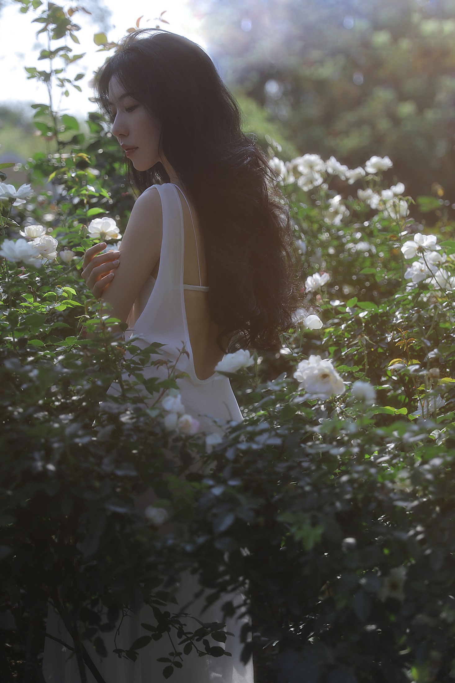Wendy园子模特 – 《细嗅蔷薇》[19P] 插图1