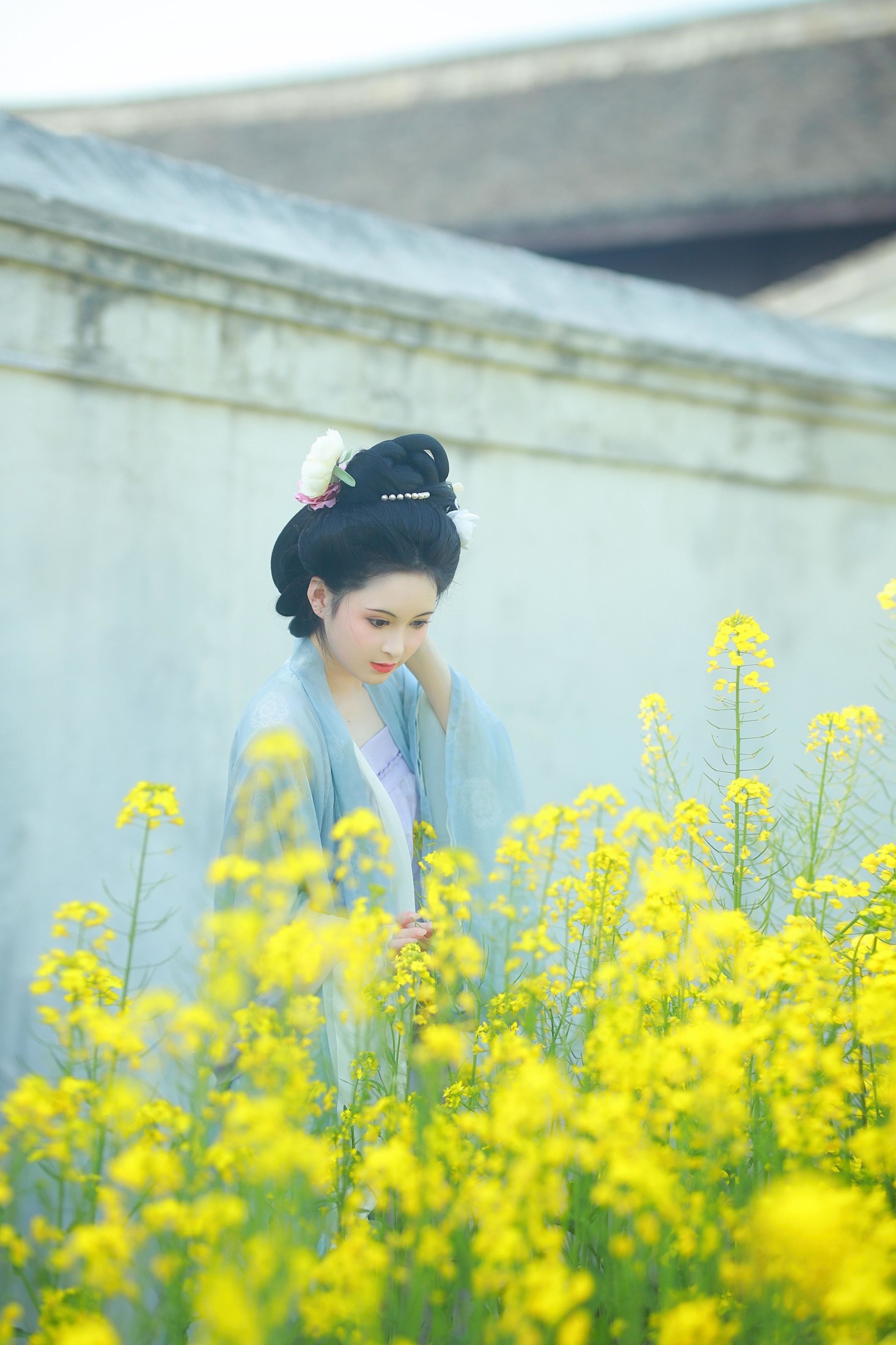 6161 – 《唐风写真油菜花》[24P] 插图1