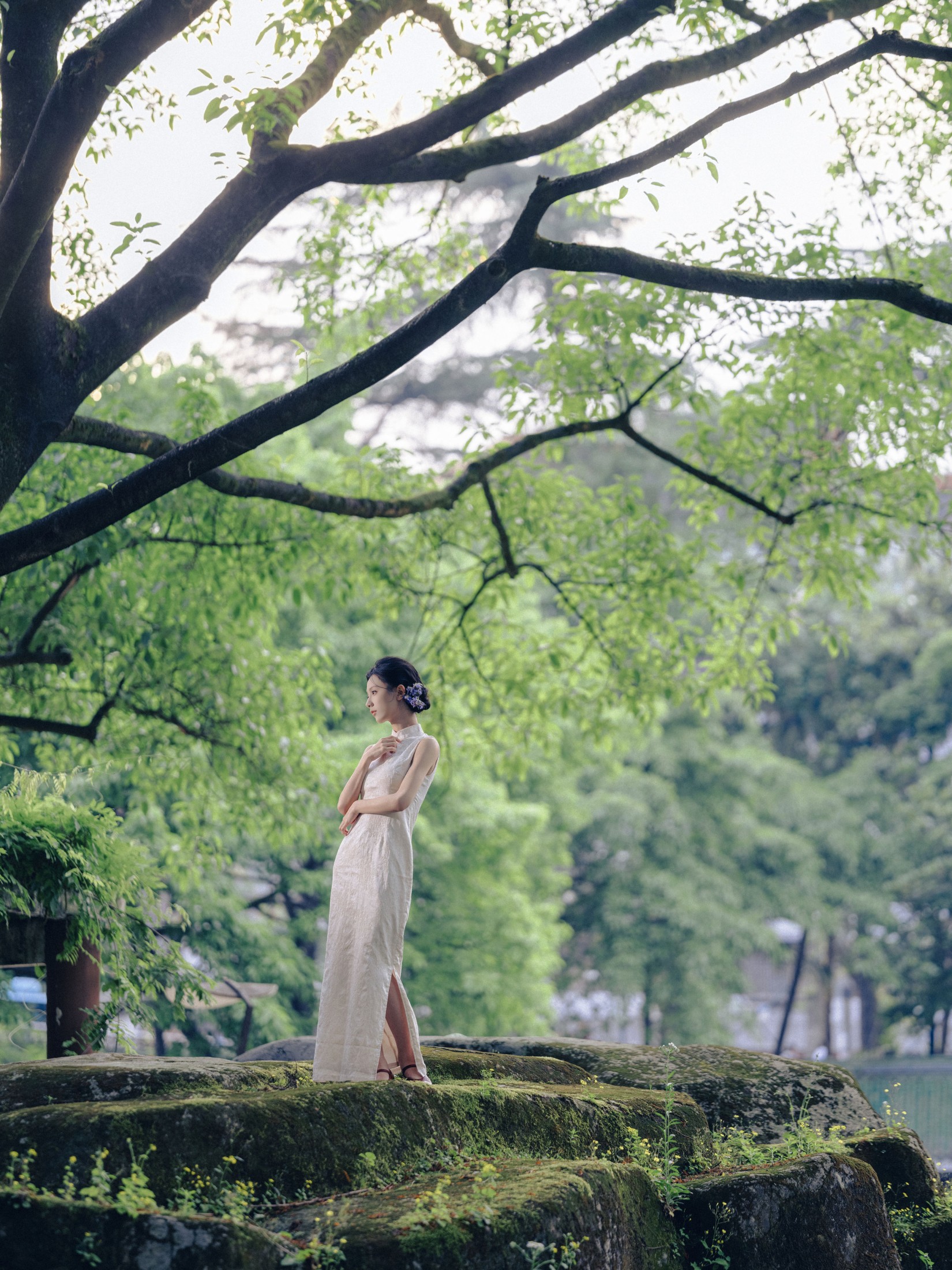 沧沧 – 《白兰》[17P] 插图1