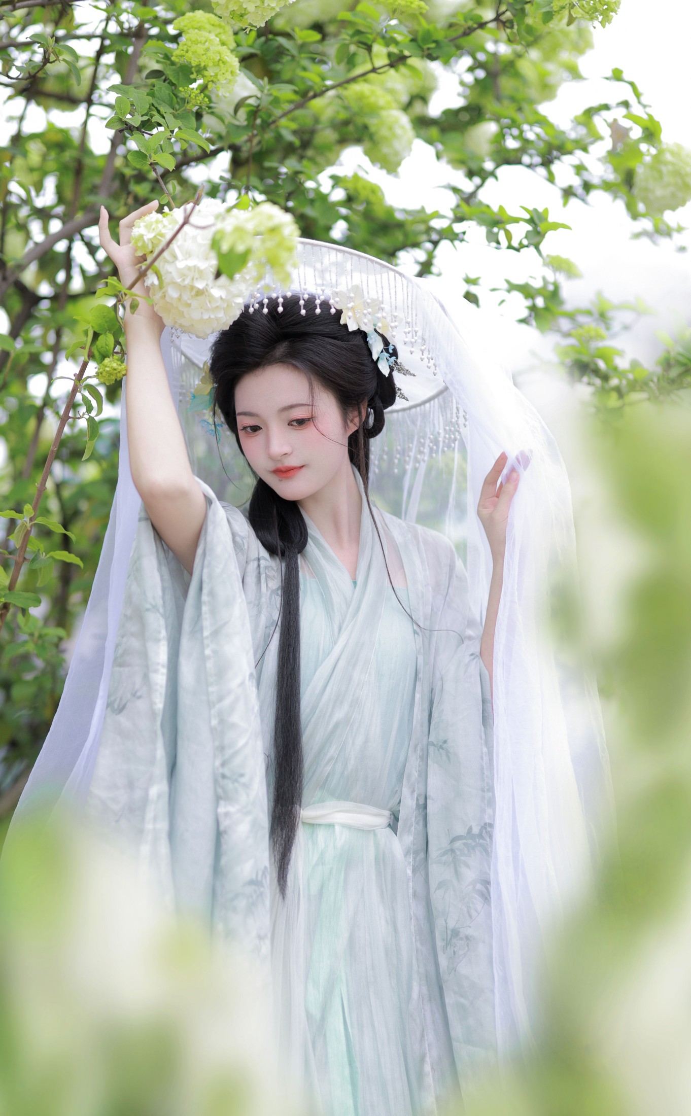 端端 – 《中华木绣球》[13P] 插图1