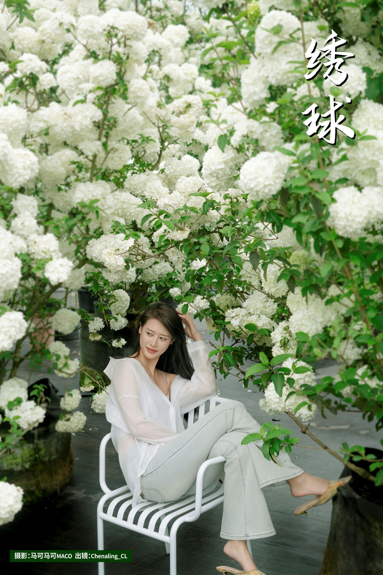Chenaling_CL – 《绣球》[20P] 插图1