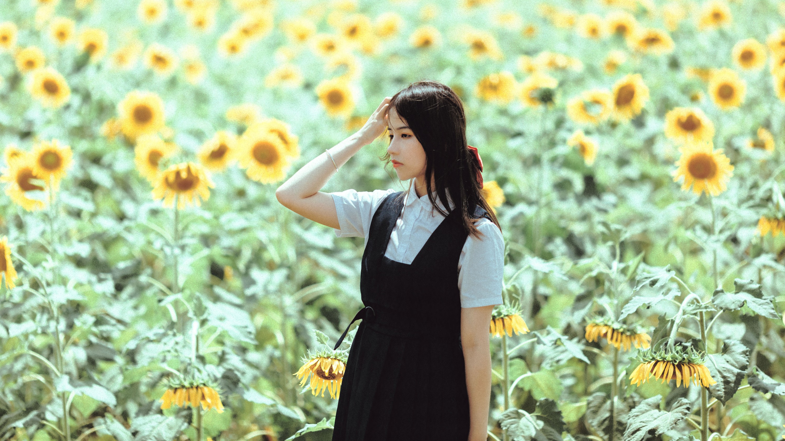 薇薇 – 《夏天的太阳花》[17P] 插图1