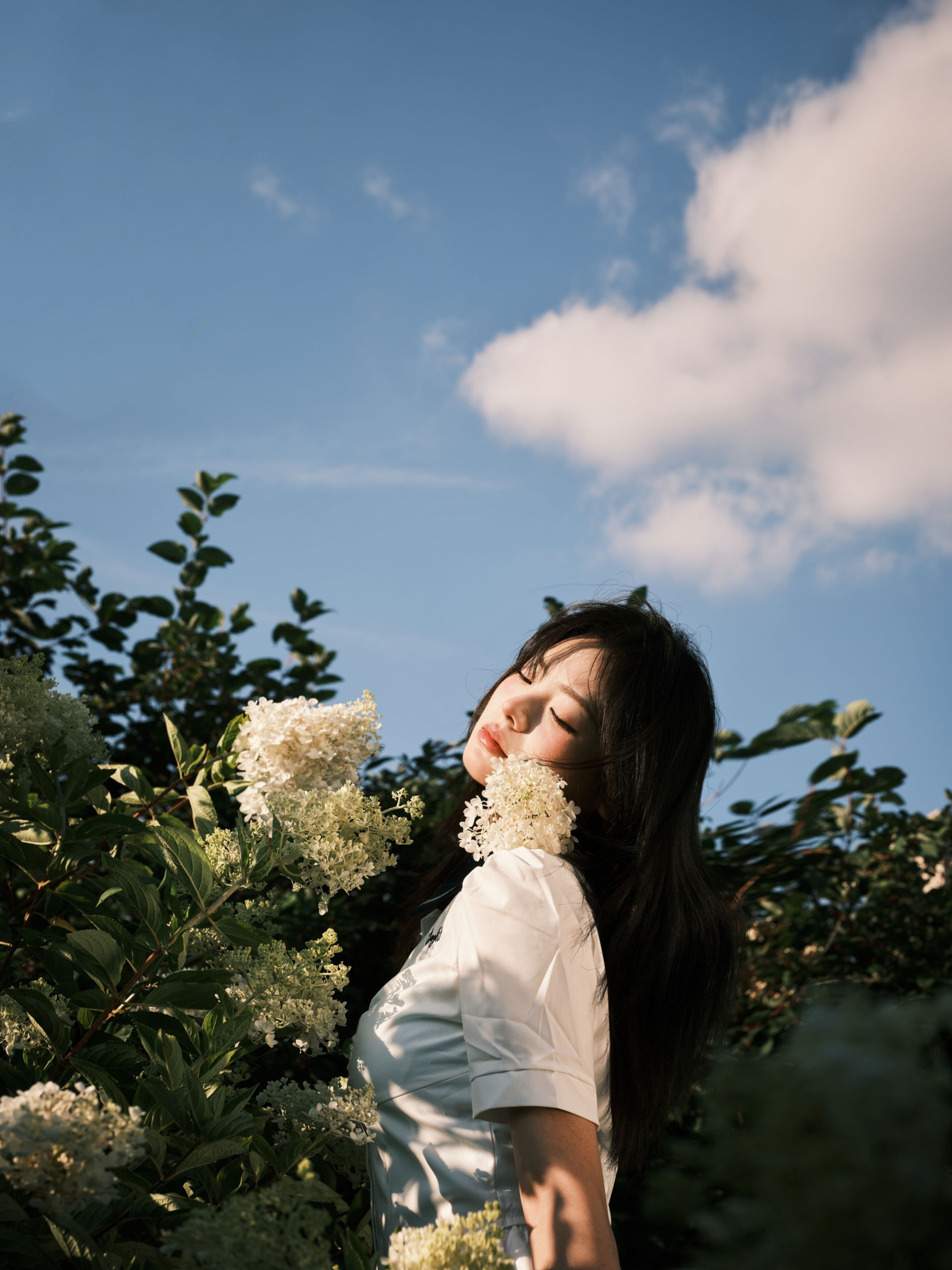 炸洋芋 – 《绣球花》[13P] 插图1