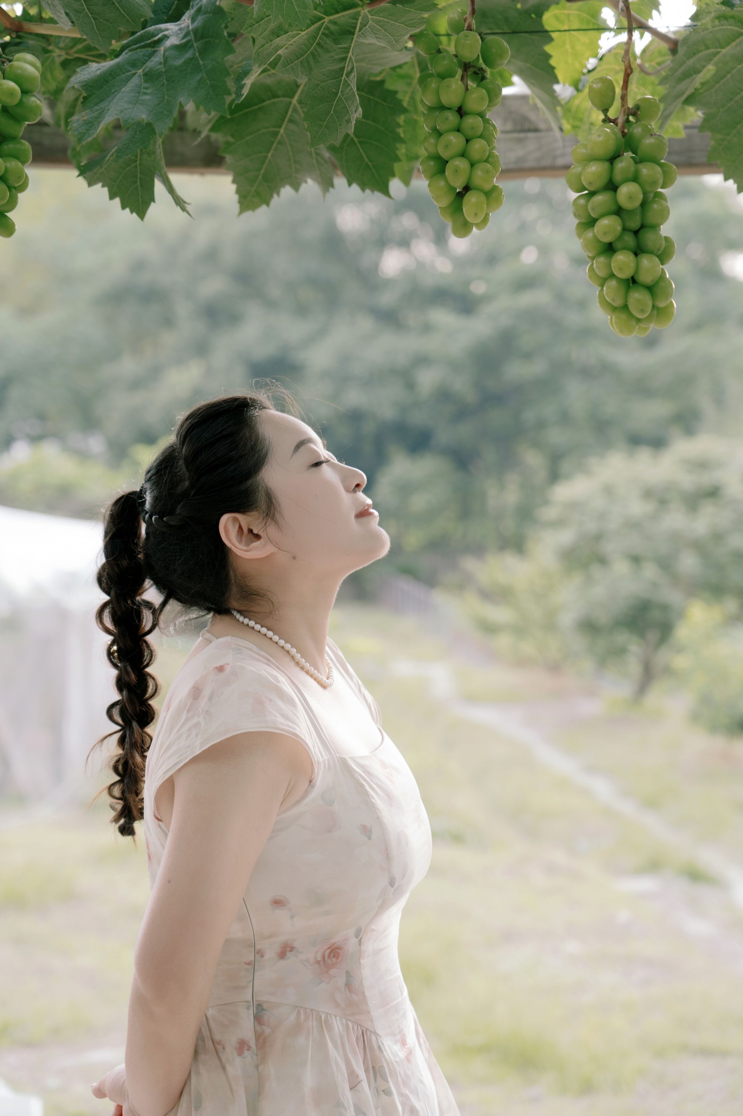 菌菌 – 《青提之夏》[16P] 插图1