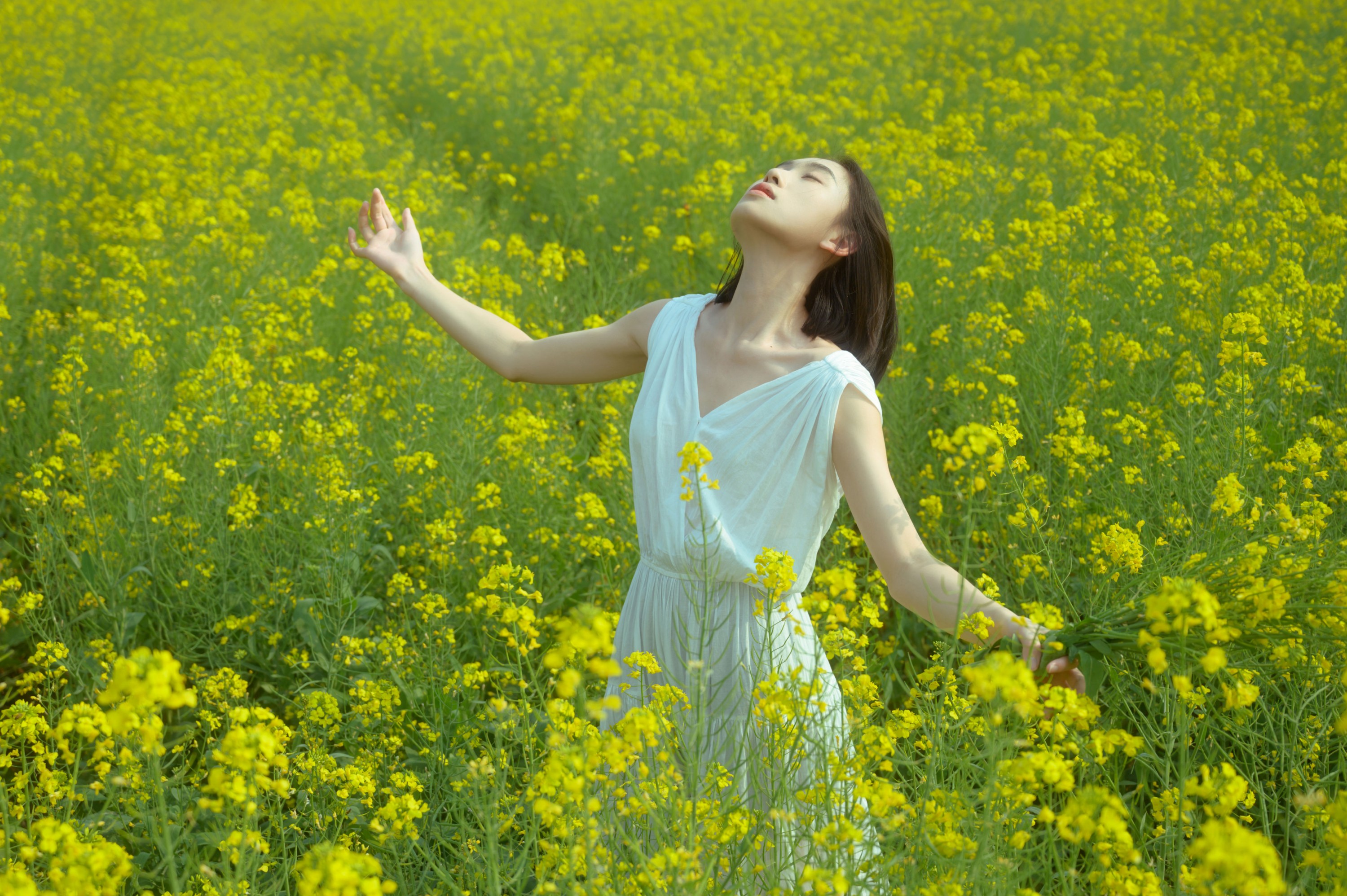 心洁 – 《蝴蝶与油菜花》[32P] 插图1