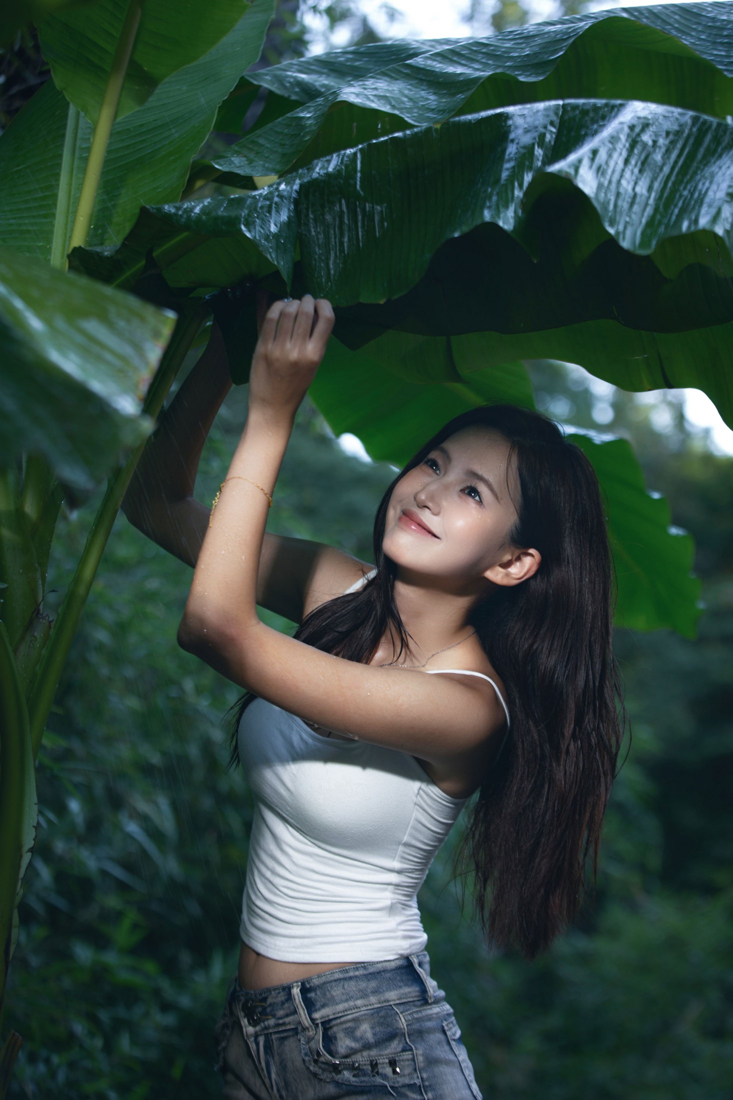  – 《雨打芭蕉》[17P] 插图1