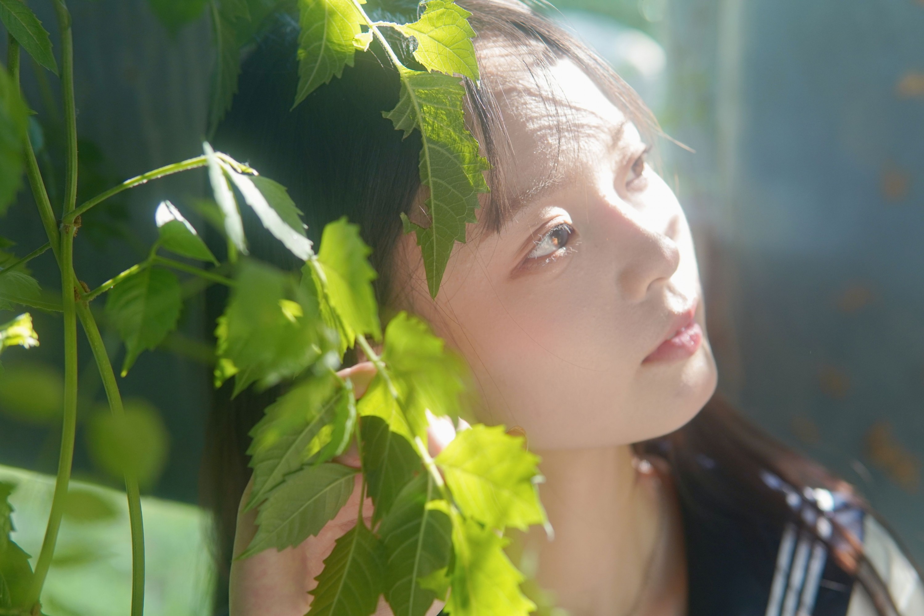  – 《凌霄花开》[12P] 插图1