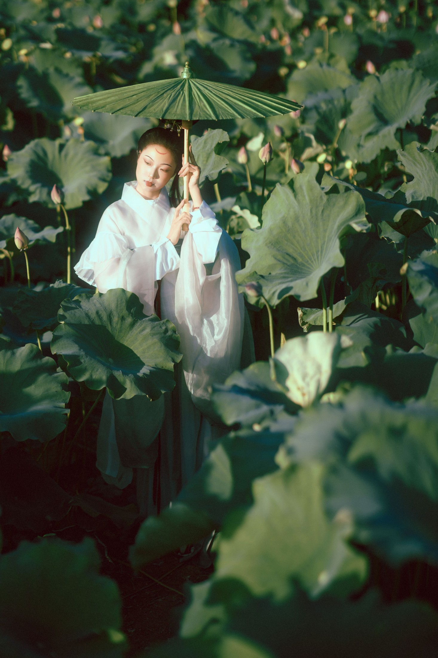 有有。 – 《晚荷》[37P] 插图1