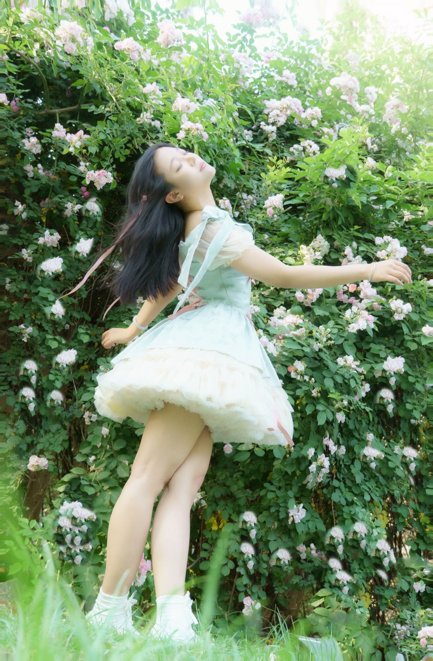  – 《蔷薇之夏》[11P] 插图1