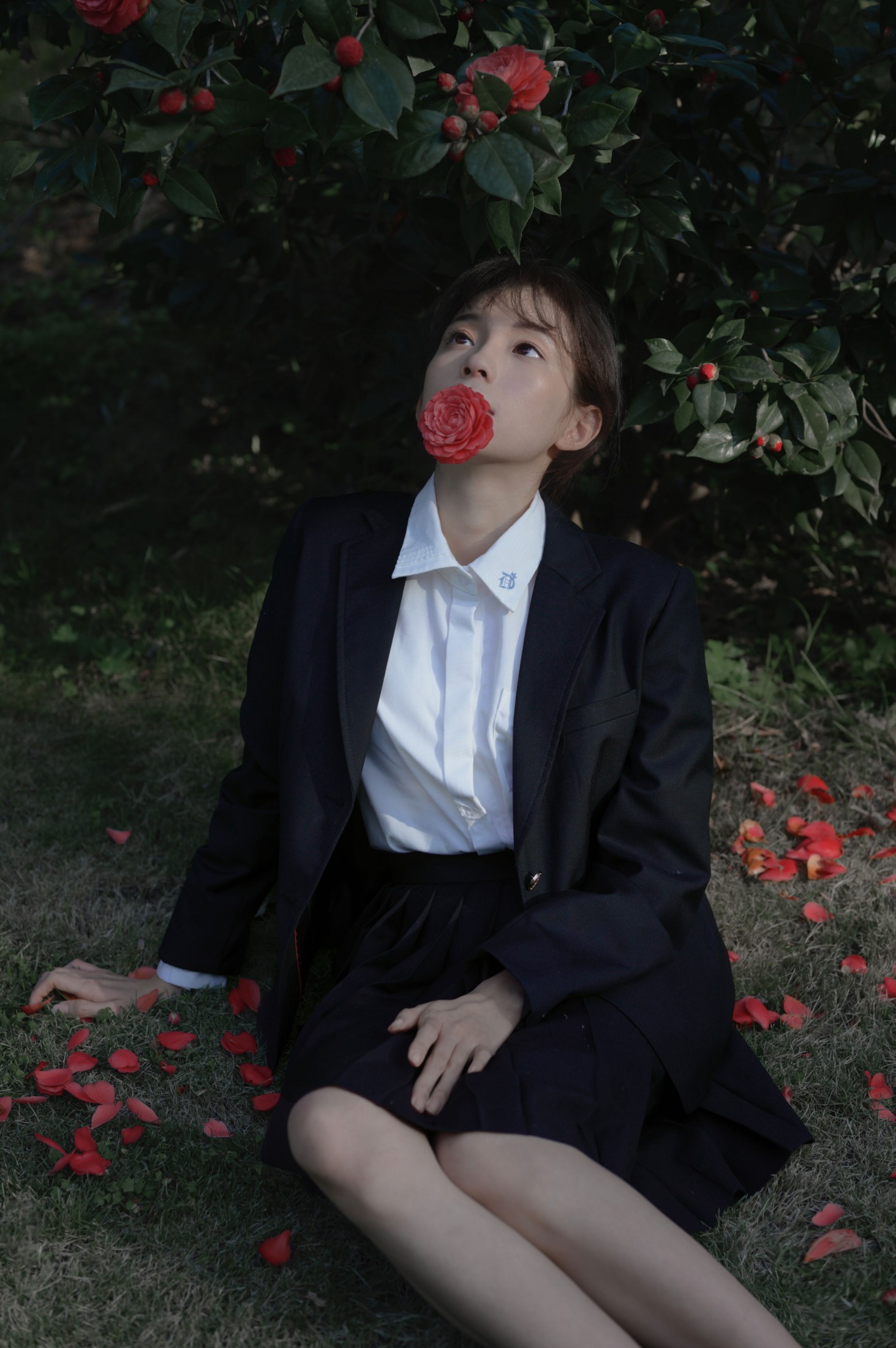 森森 – 《那年的山茶》[15P] 插图1