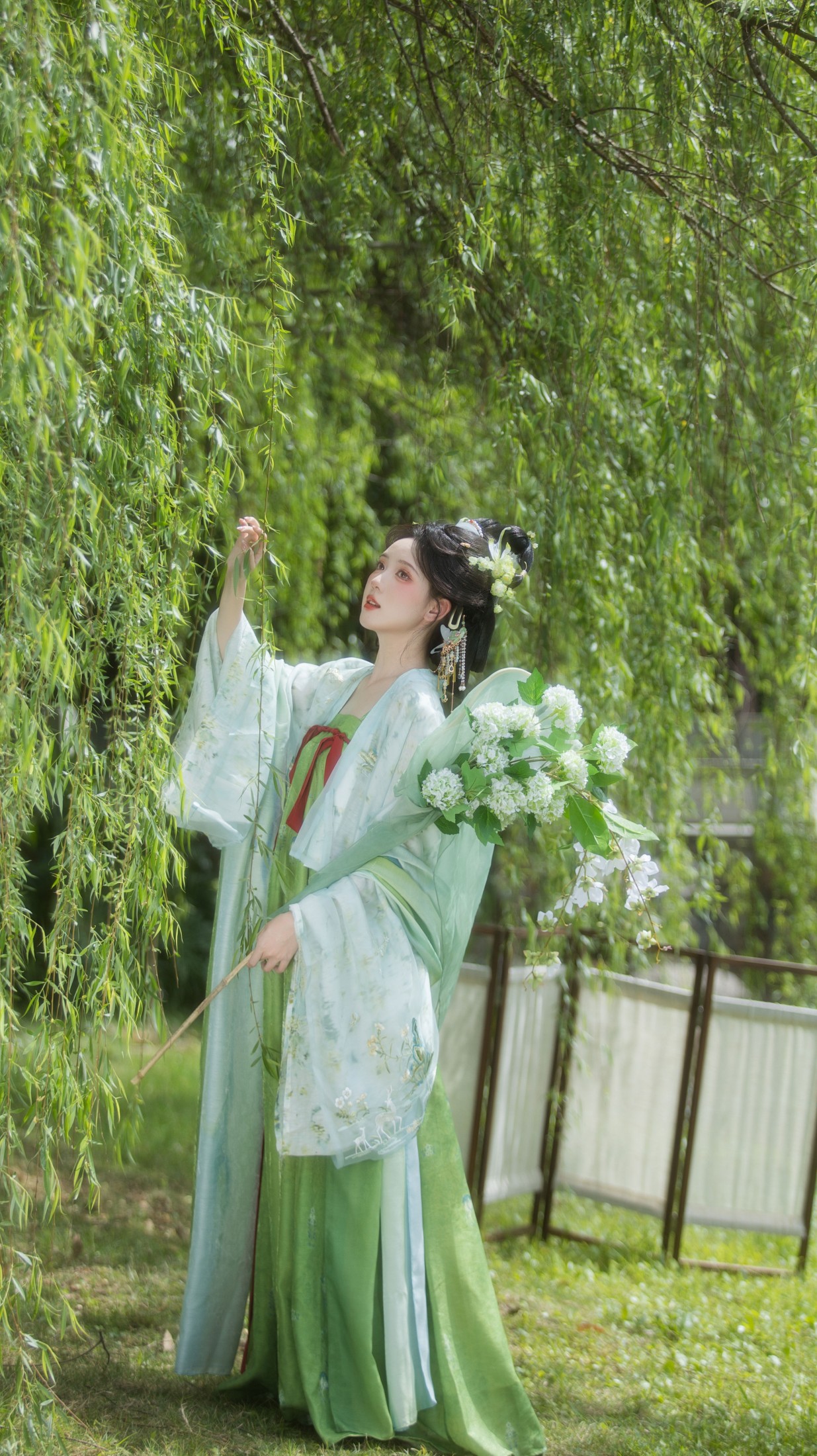  – 《杨柳依依》[13P] 插图1