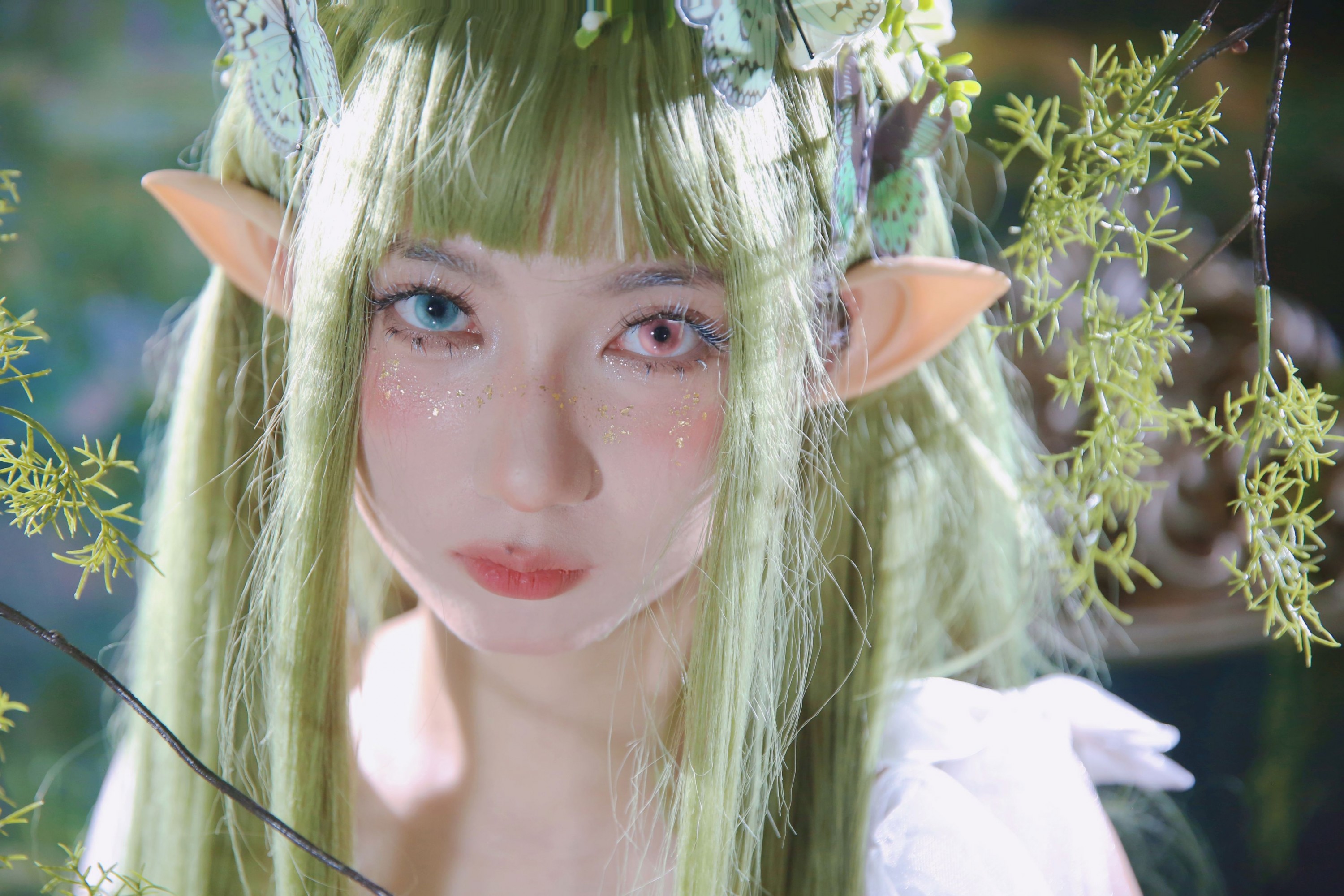  – 《绿野仙踪》[10P] 插图1