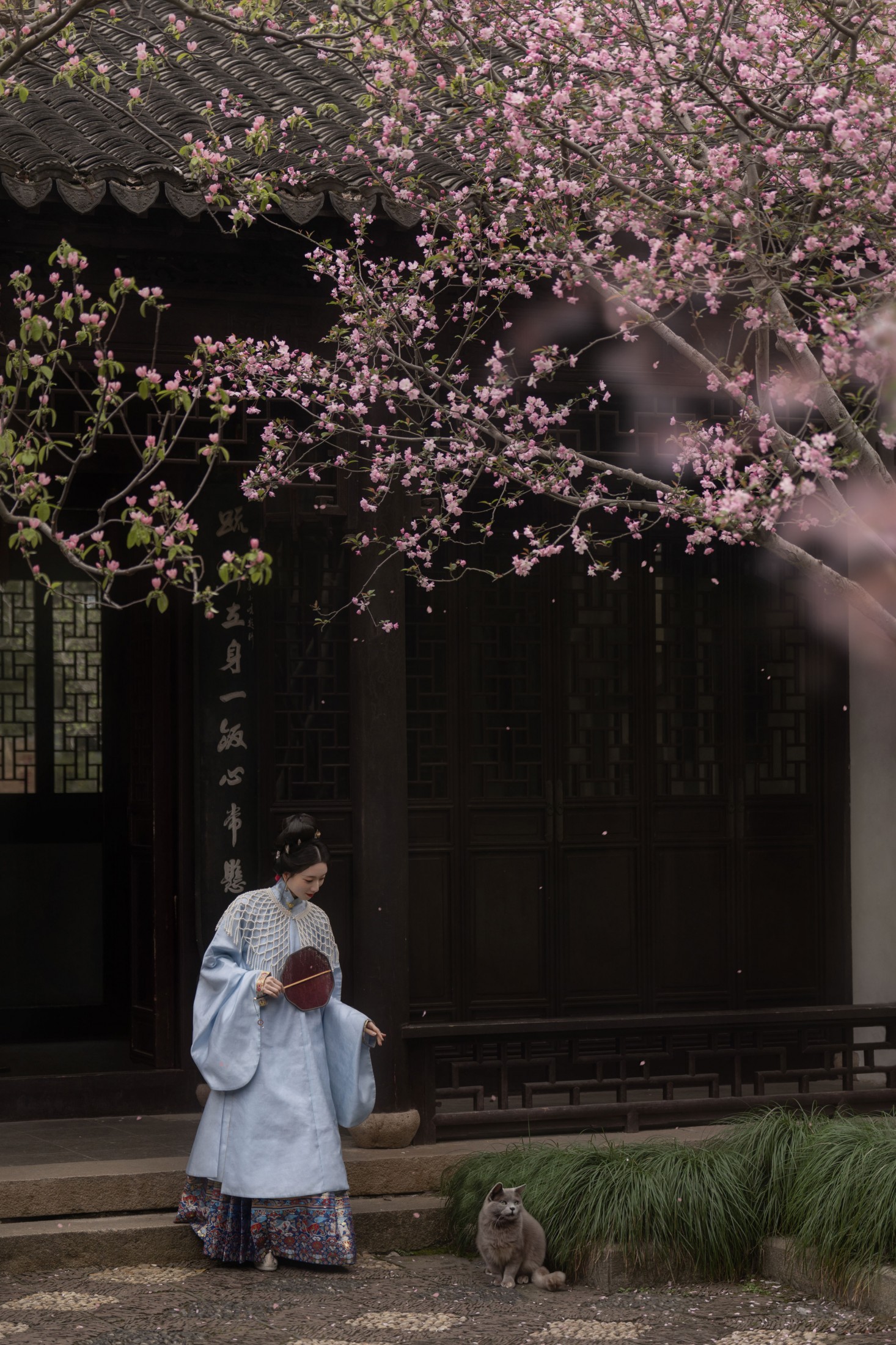 徐浪浪走在马路上 – 《海棠铺秀》[9P] 插图1