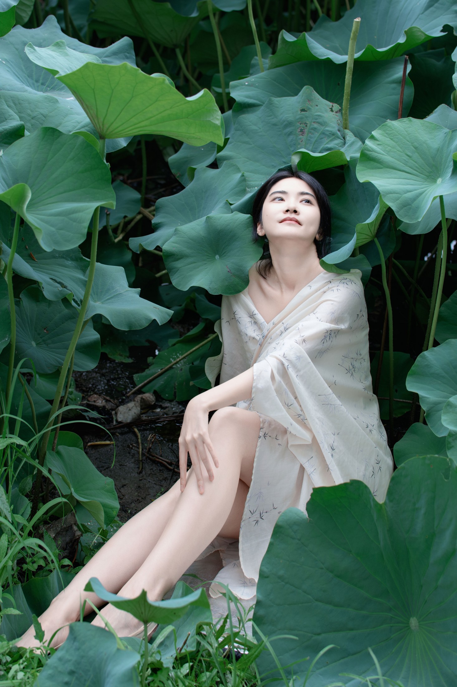丹 – 《夏荷之殇》[32P] 插图1