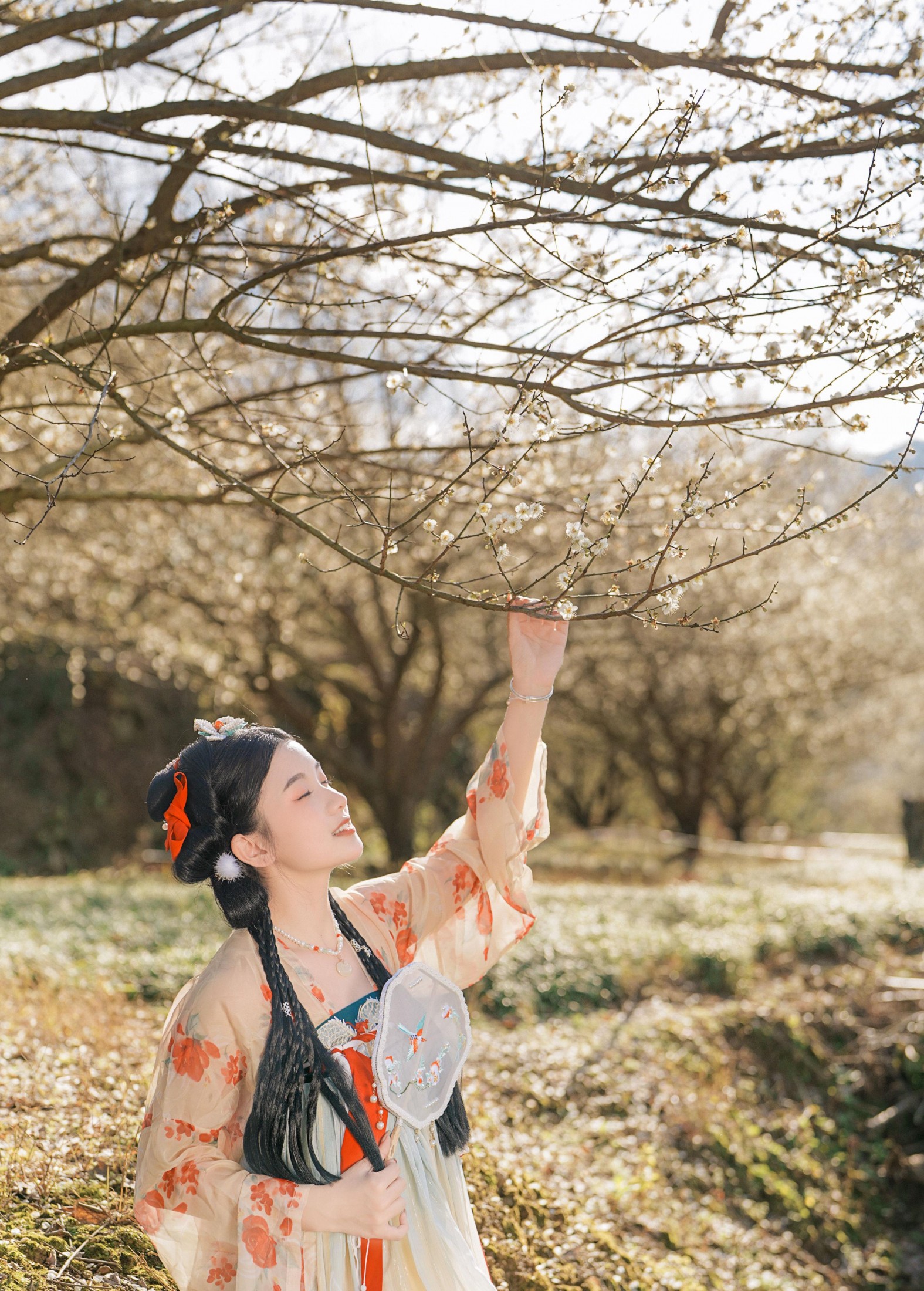 圆圆 – 《古风人像拍摄-梅花-圆圆》[20P]