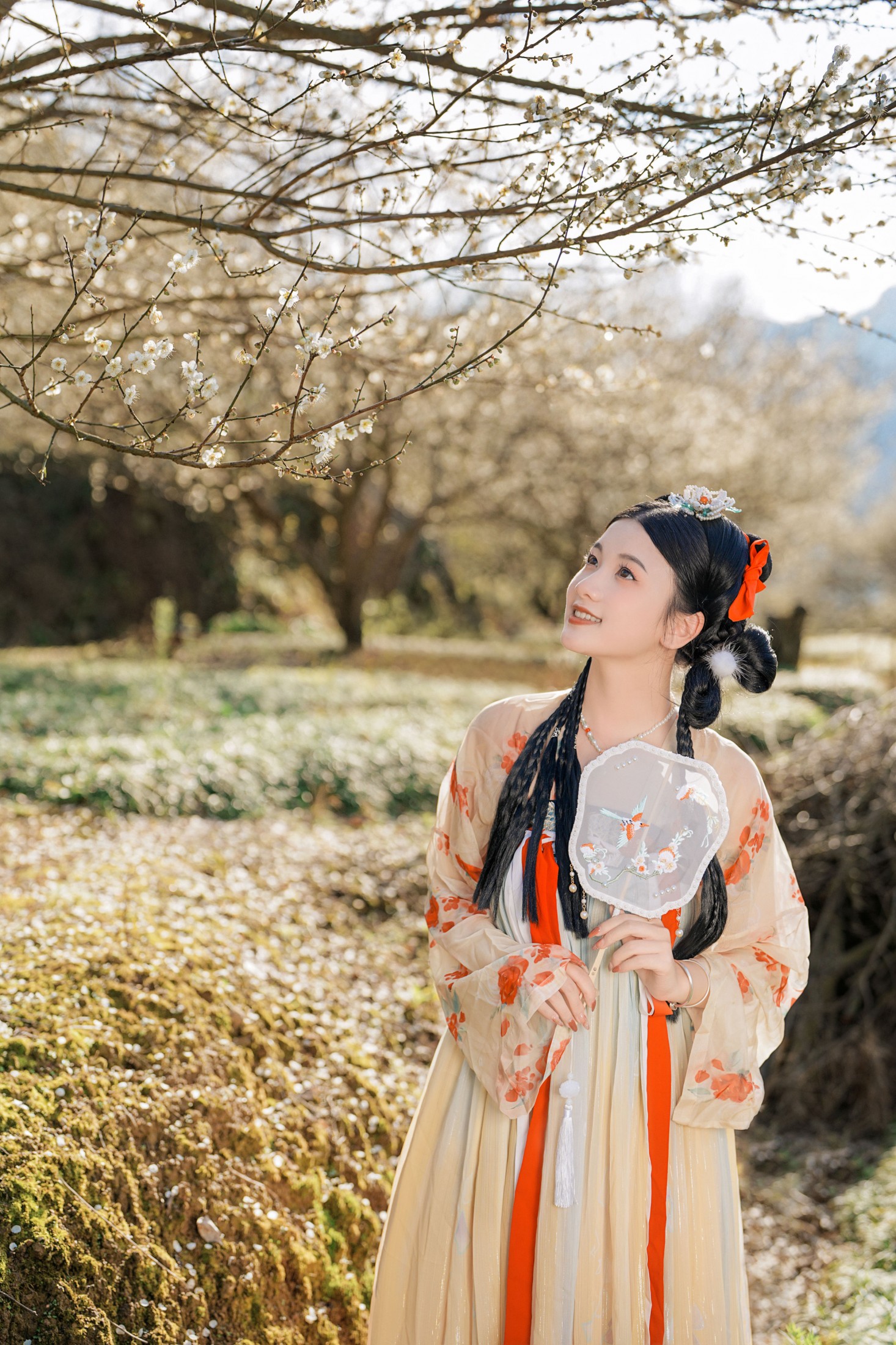 圆圆 – 《古风人像拍摄-梅花-圆圆》[20P]