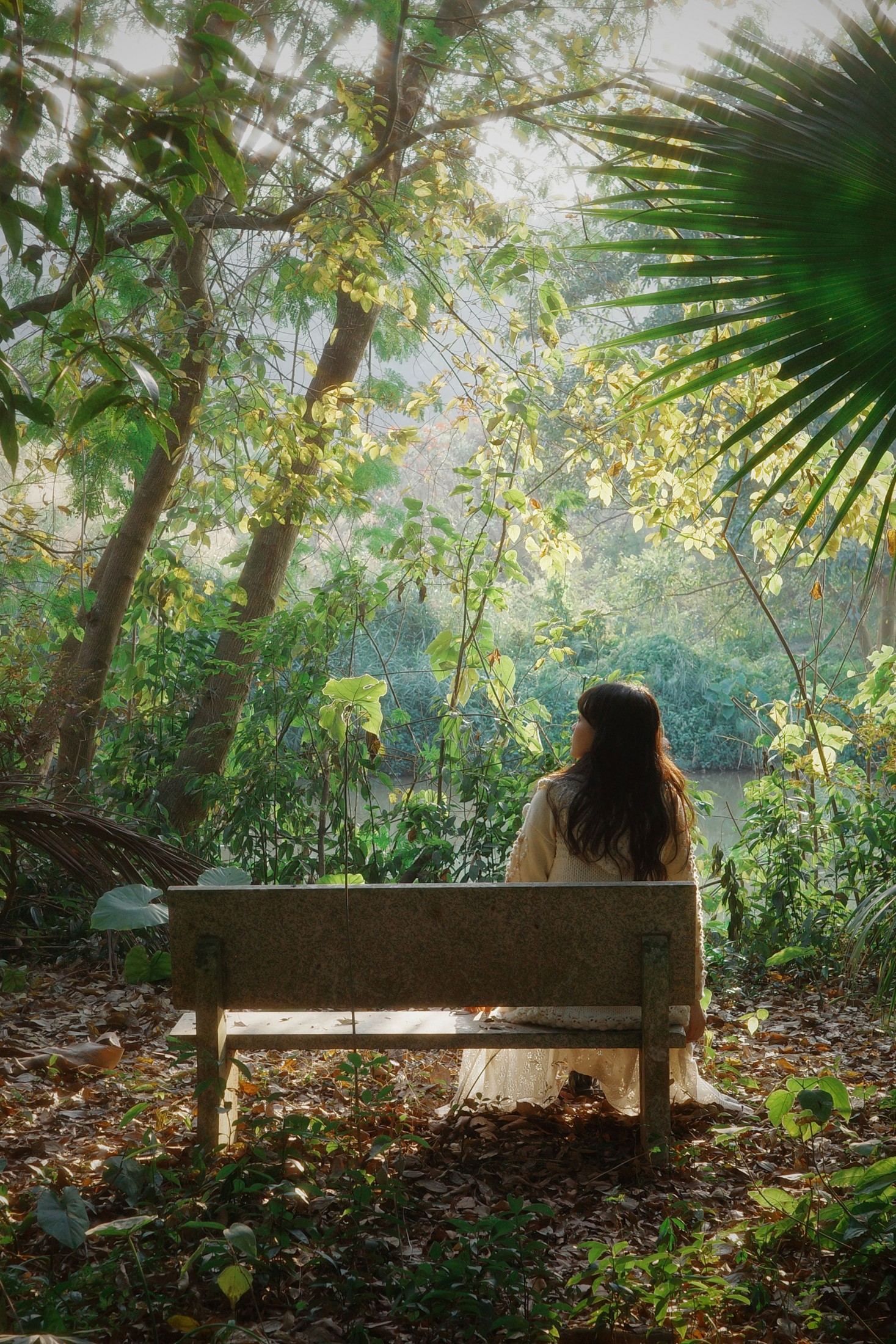 – 《森林梦核》[25P]