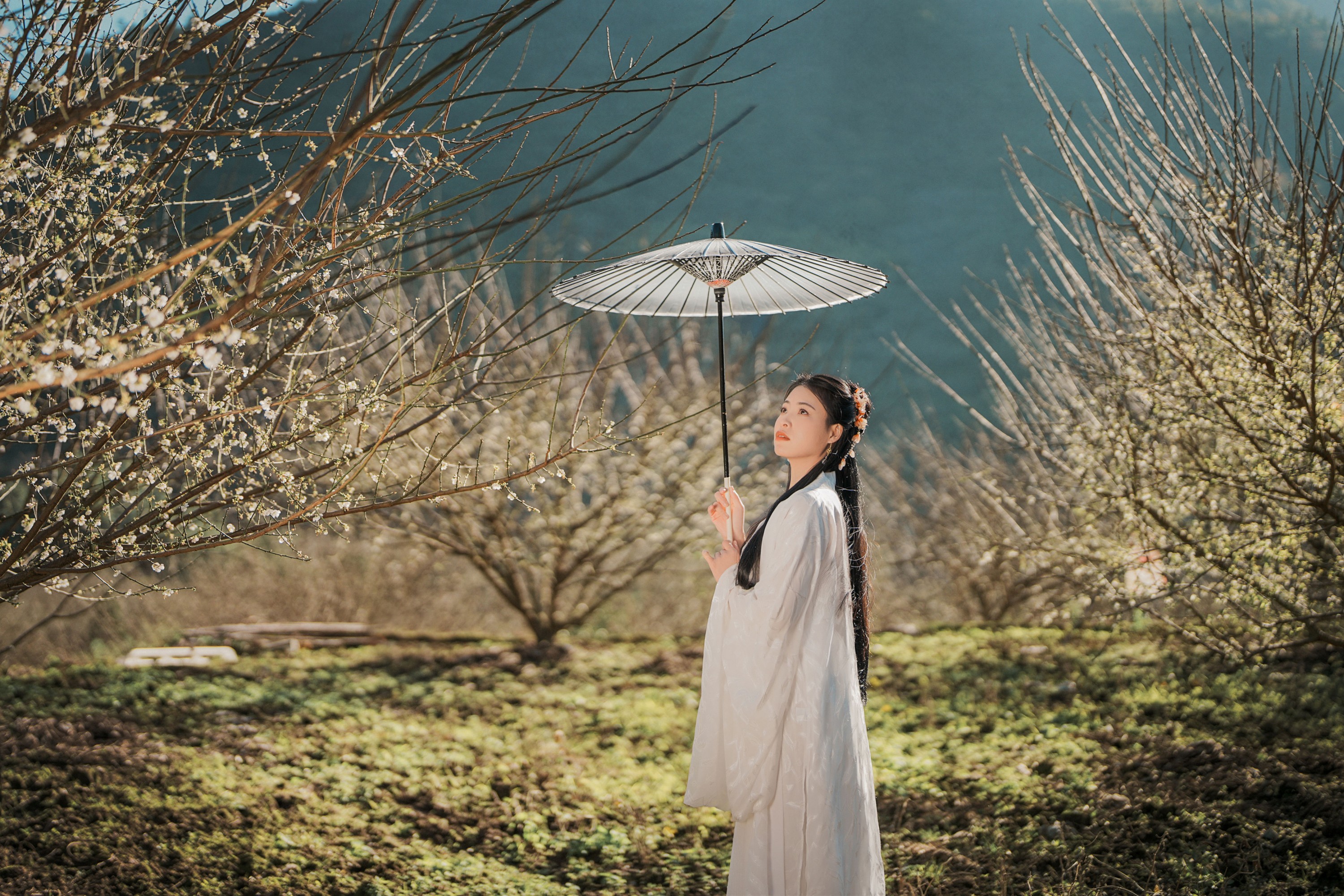 张秋华 – 《古风人像拍摄-梅花-张秋华》[16P]